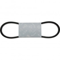 Courroie cranté 10 mm - 1025 mm - X696614513000 - Fendt F231GT Fendt - 1