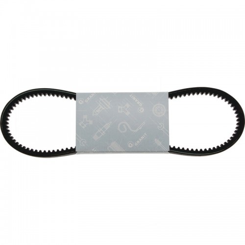 Courroie cranté 10 mm - 1025 mm - X696614513000 - Fendt F231GT Fendt - 1